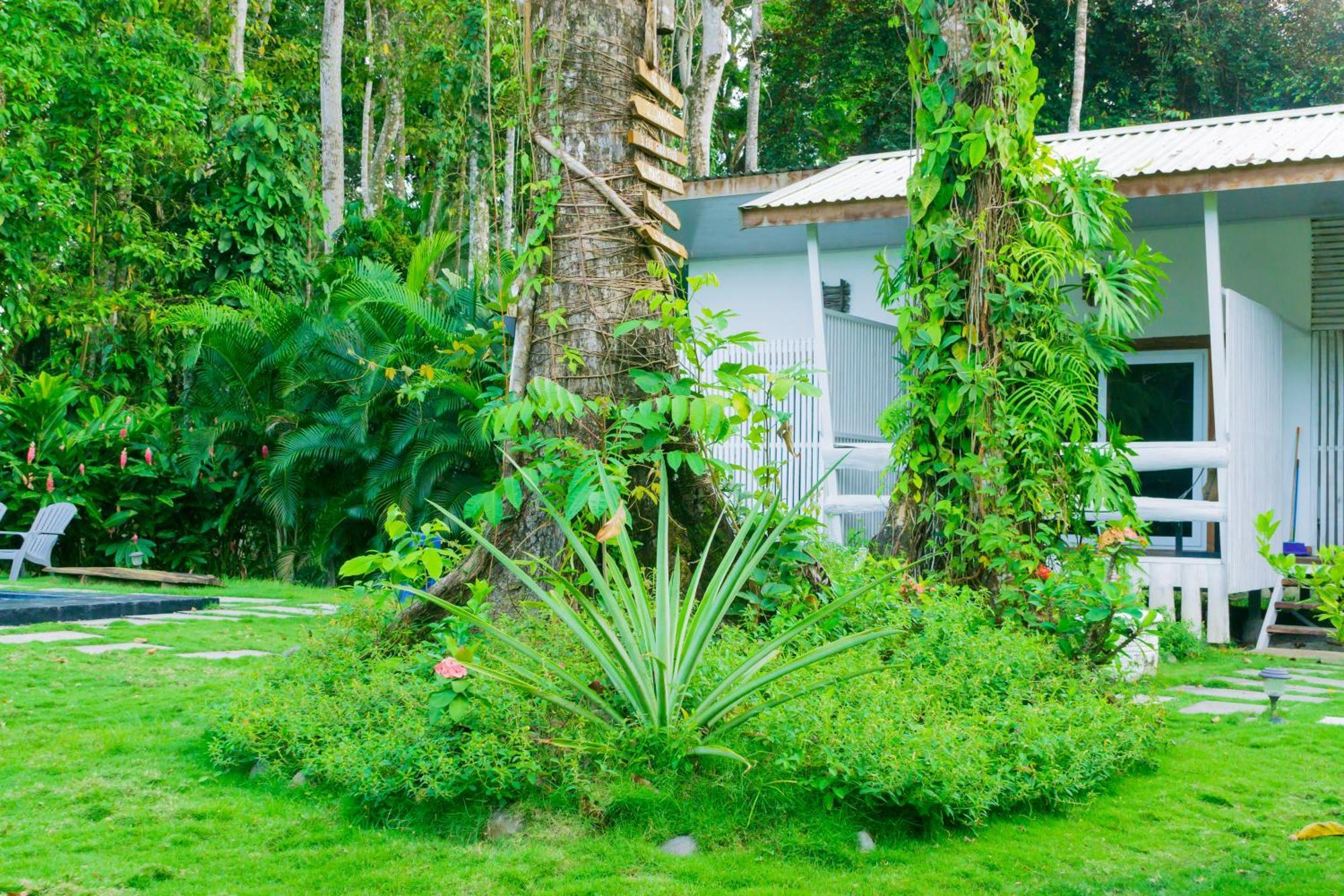 Olivia Del Caribe Suite Puerto Viejo de Talamanca Exterior foto